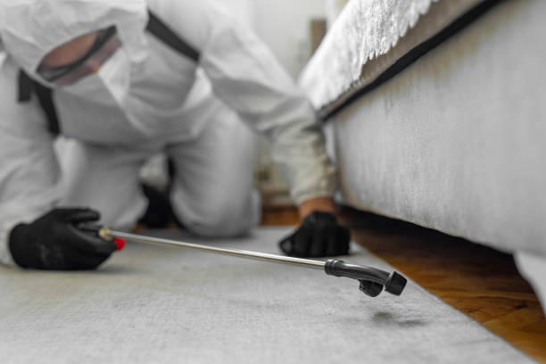 Professional Bed Bug Control technician working in Twin City, GA